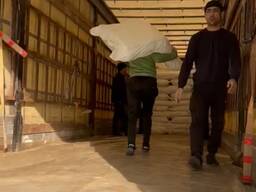 Полипропиленовые мешки (ПП) из Туркменистана