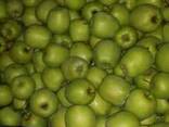 Польские яблоки разных сортов от производителя - photo 3