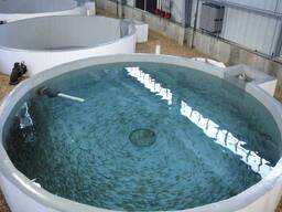 Поменяю емкости из полимер-композитов на СпецТехнику.