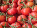 Помидоры из Туркменистана - photo 2
