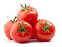Помидоры ОПТОМ из Турции