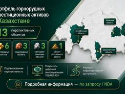 Портфель горнорудных инвестиционных активов в Казахстане (Au, Cu, Zn, Pb, W)