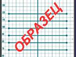 Постуральная сетка для визуальной оценки осанки и фигуры - фото 2