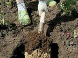 Предлагаем услуги по озеленению объектов площадок лагерей ис