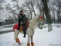 Предложение руки и сердца