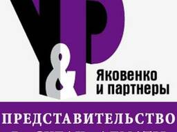 Представительство в суде