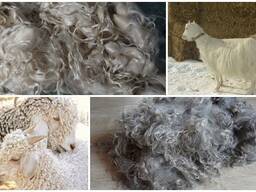 Прием говяжий книжку и шкуры крс, козья , и козья шерсть