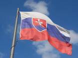 Приглашение в Словакию для получения визы Д - photo 1