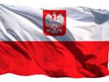 Шақырулар (Zezwolenie na pracę typ A) 1-3 жылға (Voevudskie) - photo 1