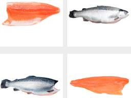 Біз мұздатылған форельді сатамыз - Финляндиядан экспорттаймыз