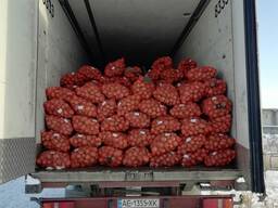 Продаем картофель оптом. Не дорого