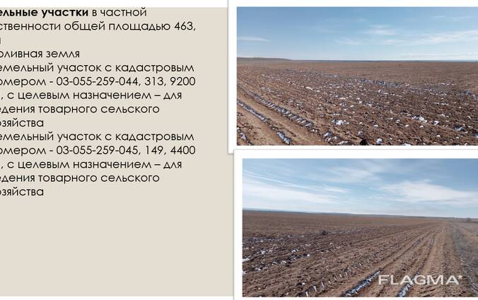 Продаем компанию