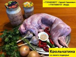 Продаем мясо кролик выращенное на овощах, фруктах и прочей зелени выращенной на своём огор