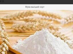 Продаем оптом муку 1сорта на экспорт