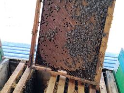 Продаем отводки.