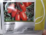Продаем семена томатов Сингента . - фото 1