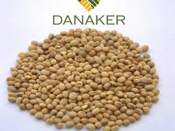 Продаем соевые бобы