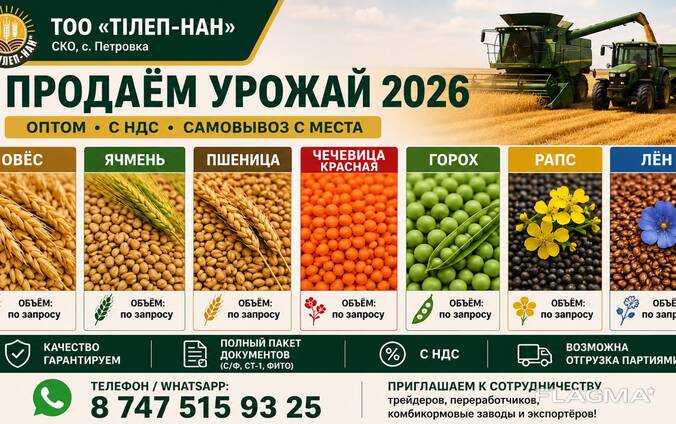 Продаем урожай 2026г овес, ячмень, пшеница, чечевица красная, горох, лен, рапс
