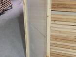 Продается действующий бизнес по производству Сочни/Лапша/Макароны разных сортов - photo 9