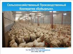 Продается действующий производственный комплекс СПК «Буйыргын».