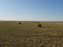 Продается хозяйство в форме СПК в Кобдинском районе.