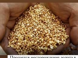 Продается месторождение золота в Павлодарской области