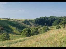 Продается месторождение золота в ВКО РК