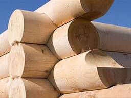 Продается оцилиндрованное бревно 200 мм от производителя с доставкой в Жаркент