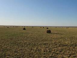 Продается земельный участок сельхозназначения