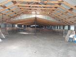 Продам готовое КХ - фото 3