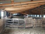 Продам готовое КХ - фото 10