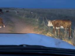 Продам готовый бизнес крестьянское хозяйство