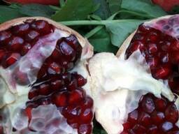 Продам гранат