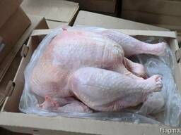 Продам Индейку