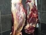 Продам конину: целиком или частями - фото 1