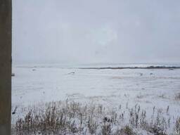 Продам крестьянское хозяйство