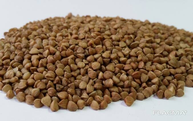 Крупа гречневая ISO 22000, EU сертификат, (греча, гречка), 1ый сорт, ядрица, ГОСТ