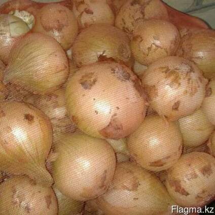 Продам лук репчатый, урожай 2017