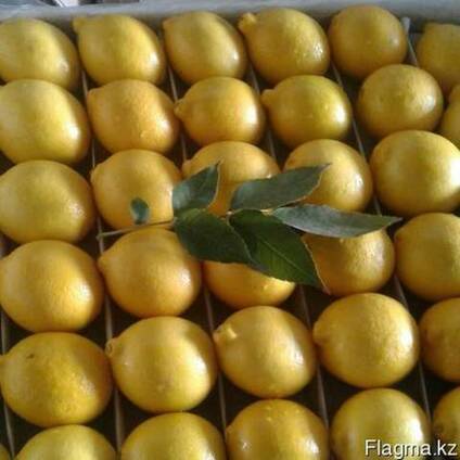 Продам овощи и фрукты из Узбекистана, урожай 2017