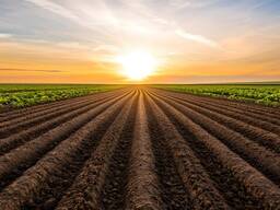 Продам пашню 2340га