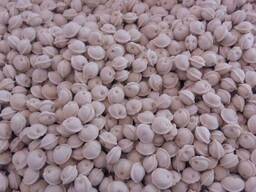 Продам хинкали