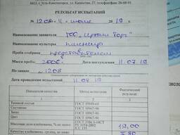 Продам пшеницу 4 класс