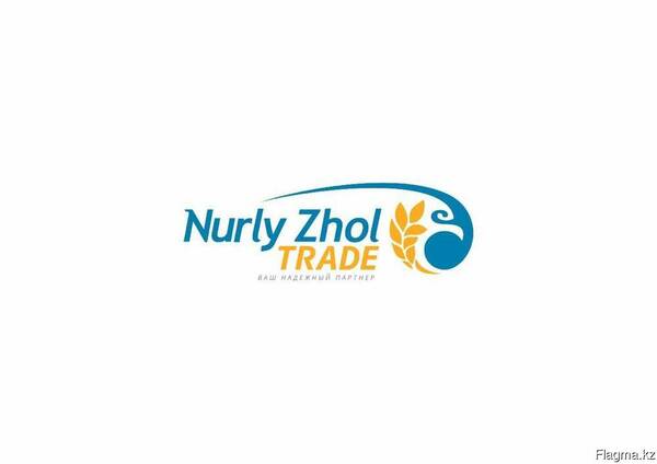 Nurly Tolkun logo.