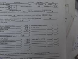 Продам пшеницу вагонами с Оренбурга в Казахстан