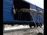 Продам Семечки , масло 45 и выше, вагонные поставки по Казах - фото 1