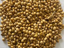 Продам сою ячмень пшеницу подсолнух лен Павлодар