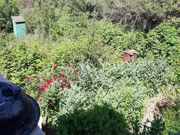 Продам Срочно Дачу в Кенсаи