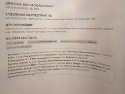 Продам твёрдую пшеницу