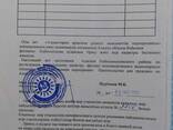 Продам участок 3.9 га, фазенда с посадками и постройками. - фото 1