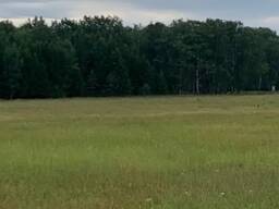 Продам участок ИЖС в Боровом (Щучинск)